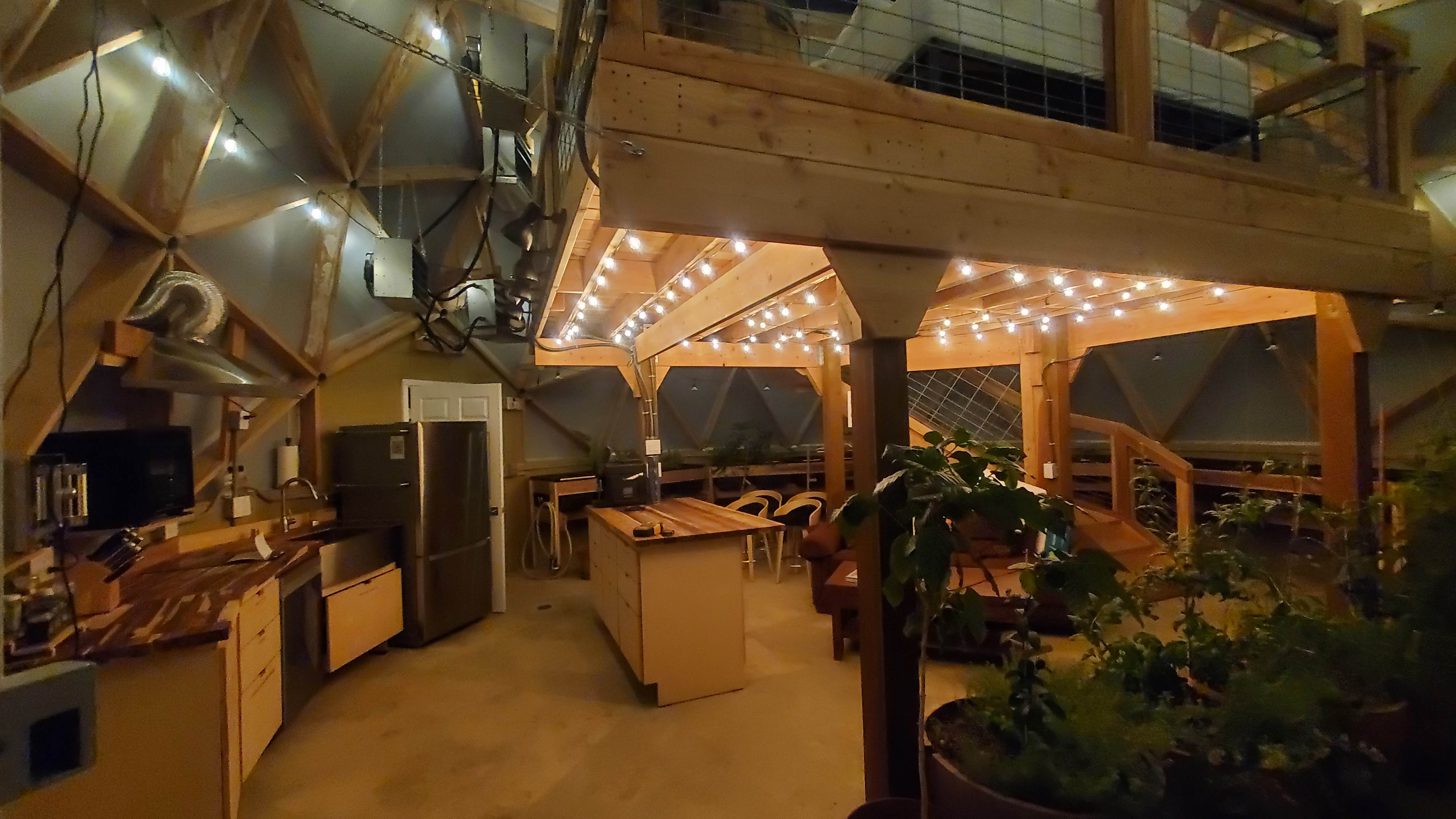 Interior of the greenhouse dome at night, lit with warm string lights and filled with plants
